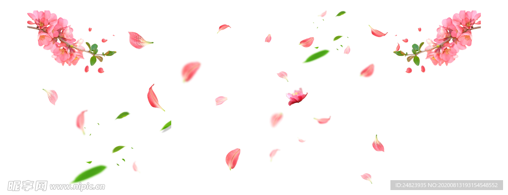 春天踏青桃花樱花树叶海报素材