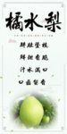 橘水梨