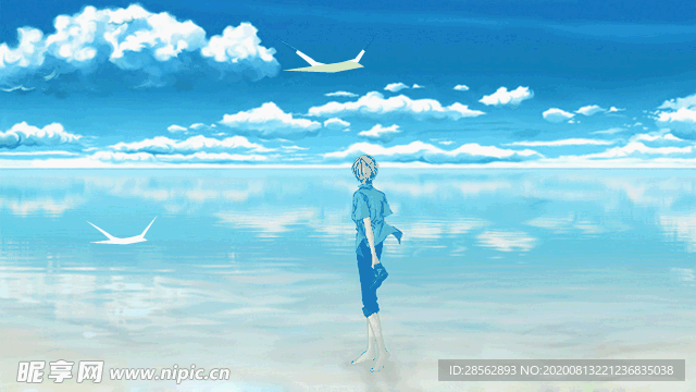 海鸥