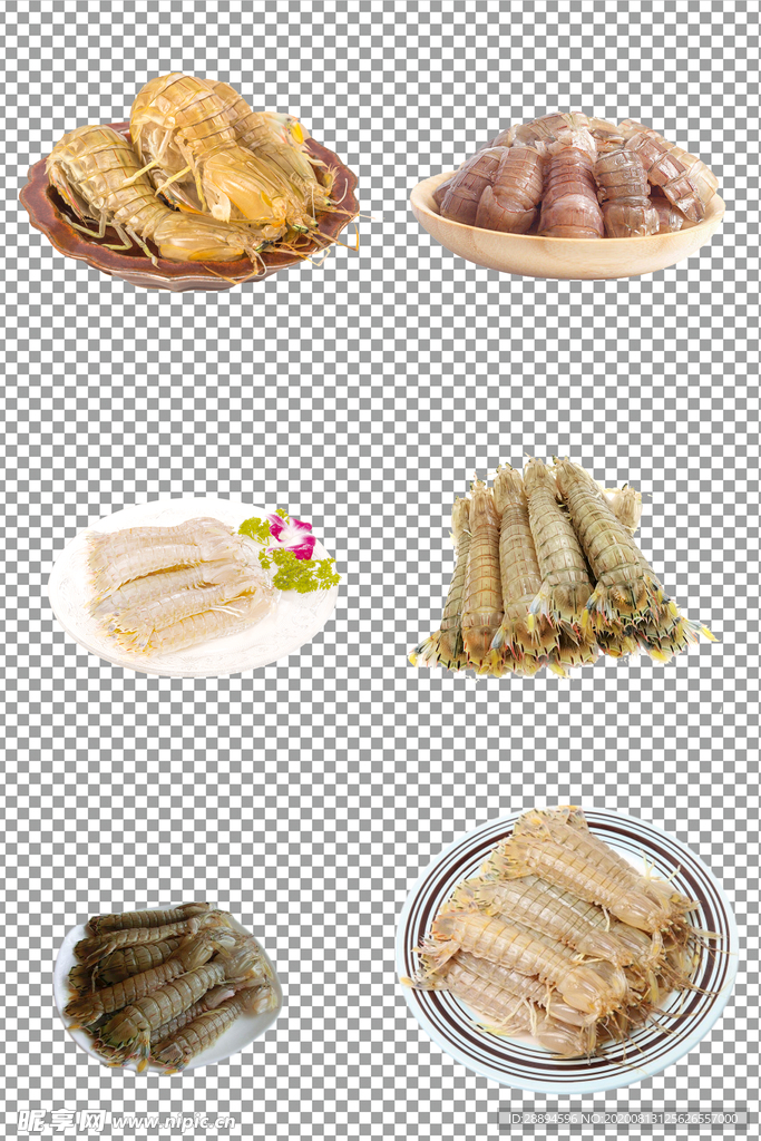皮皮虾