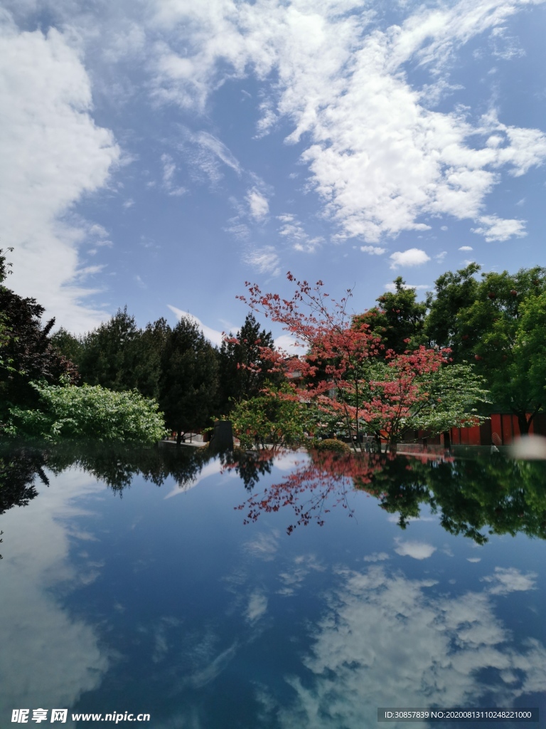 红叶