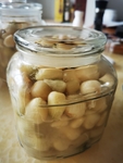 腌菜