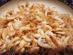 小白虾