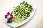 绿豆芽