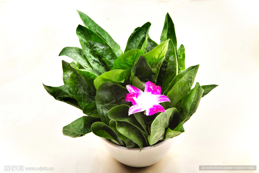 菠菜