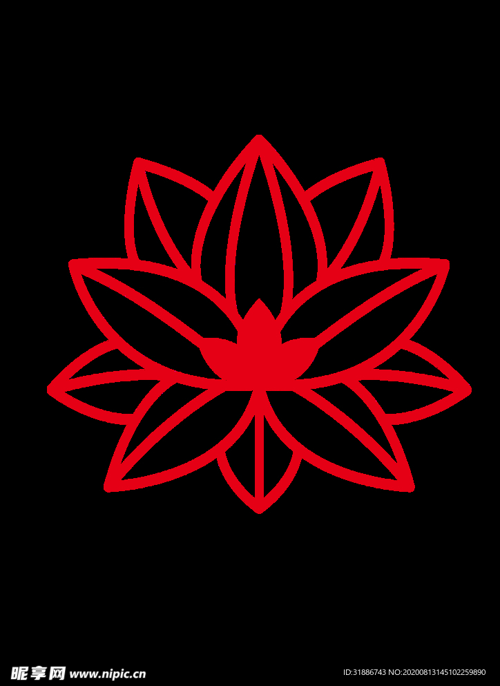 荷花