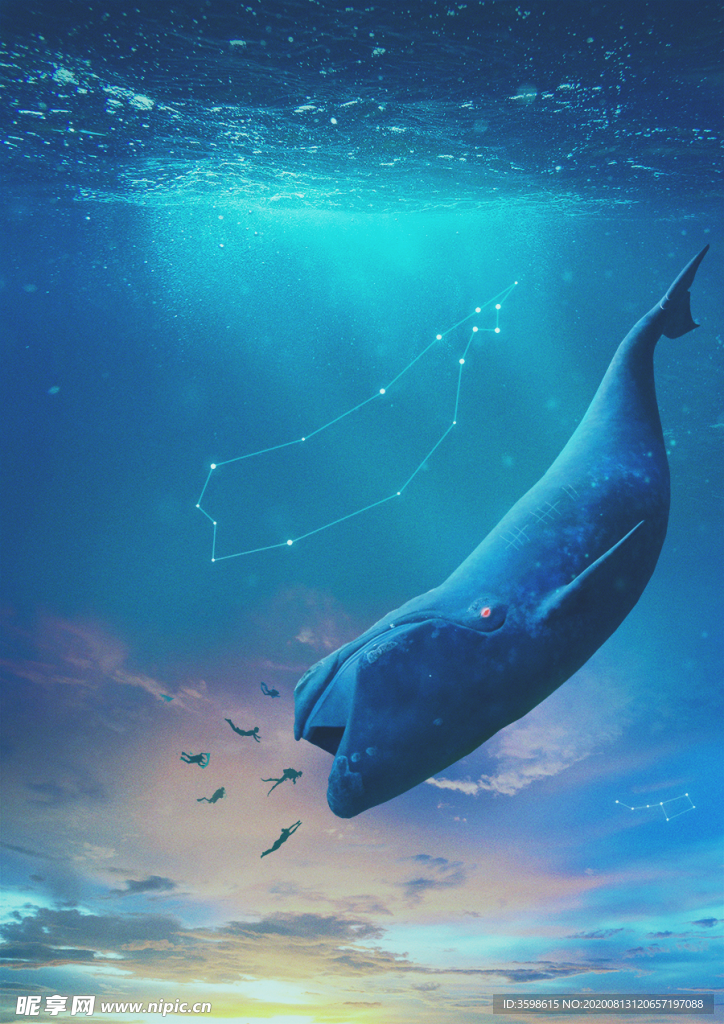 蓝鲸 海洋