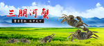 稻田河蟹