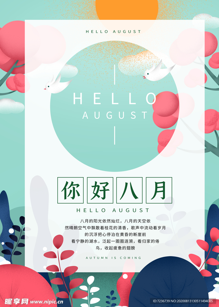 八月