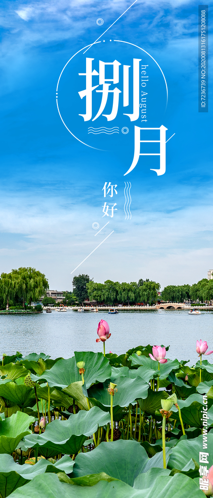 八月