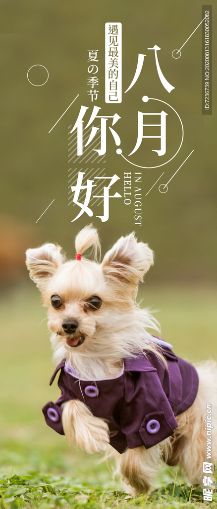 八月