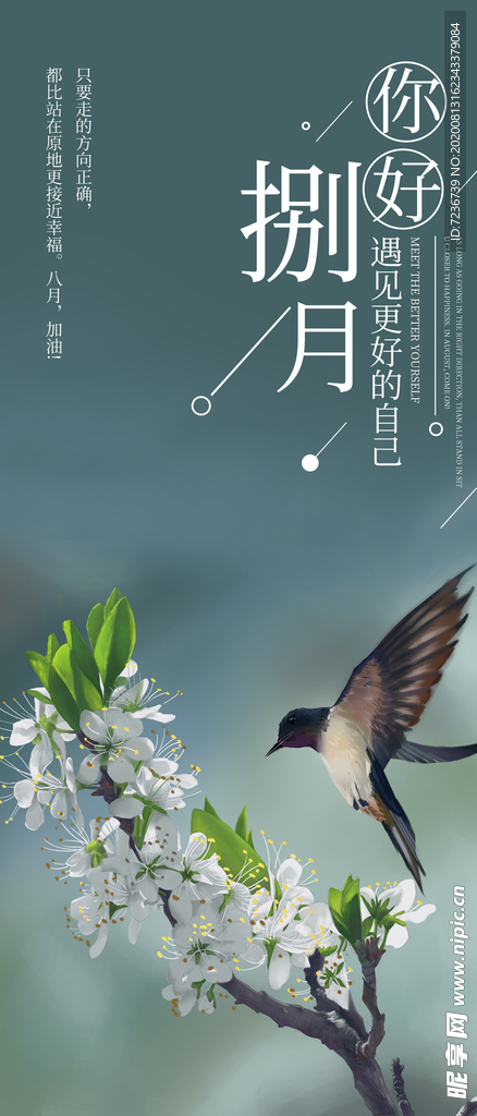八月