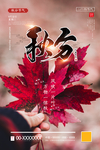 秋分