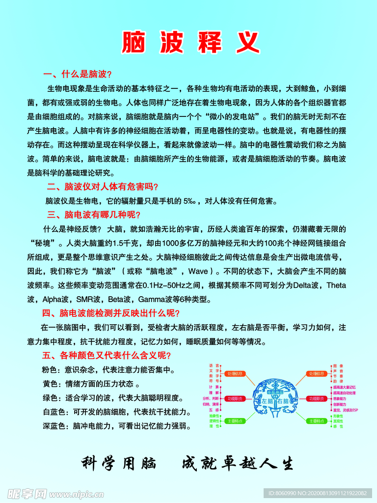 脑波释义