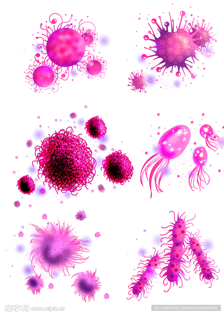 粉色细菌