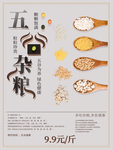 五谷杂粮海报 谷物 豆豆素材