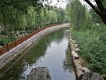 公园 风景 池塘