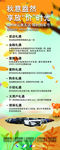 秋季展架