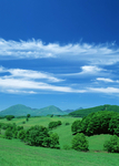 蓝天绿地