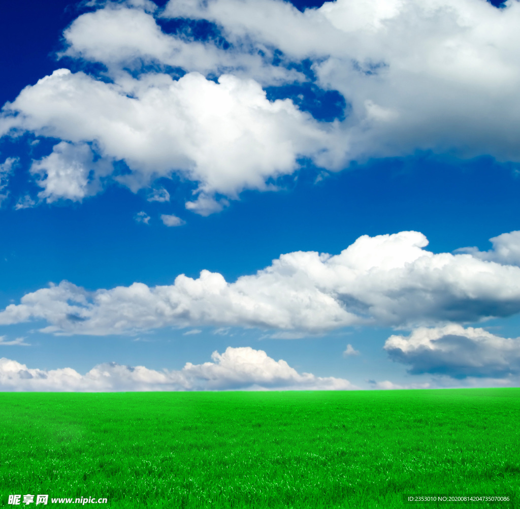 蓝天草地