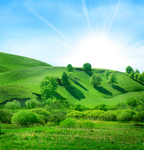 山