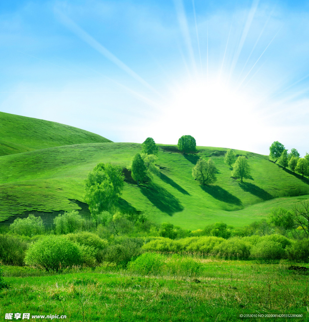 山