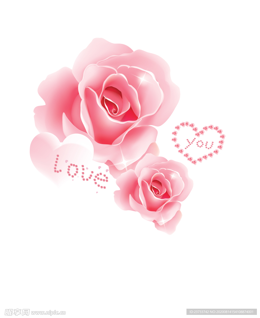 爱心 玫瑰 粉色