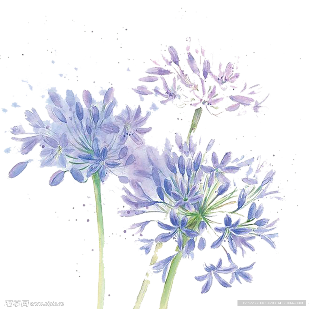 唯美花束png