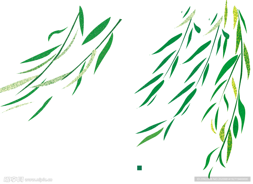 垂柳枝png