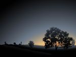 夜景