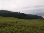 山峰草地