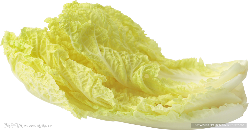 白菜