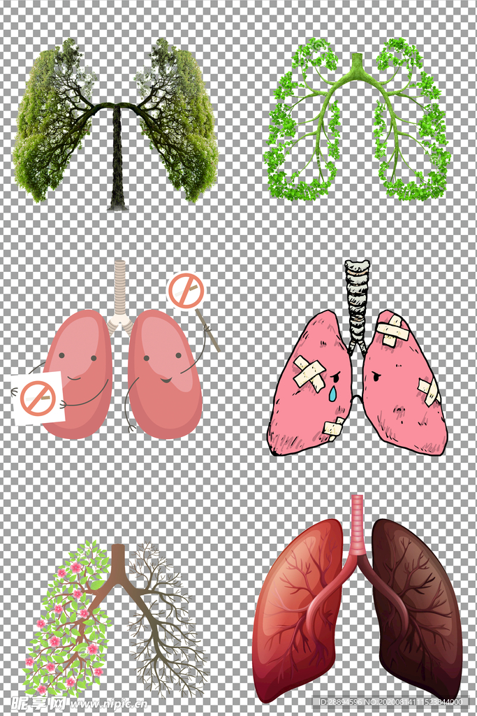卡通创意肺