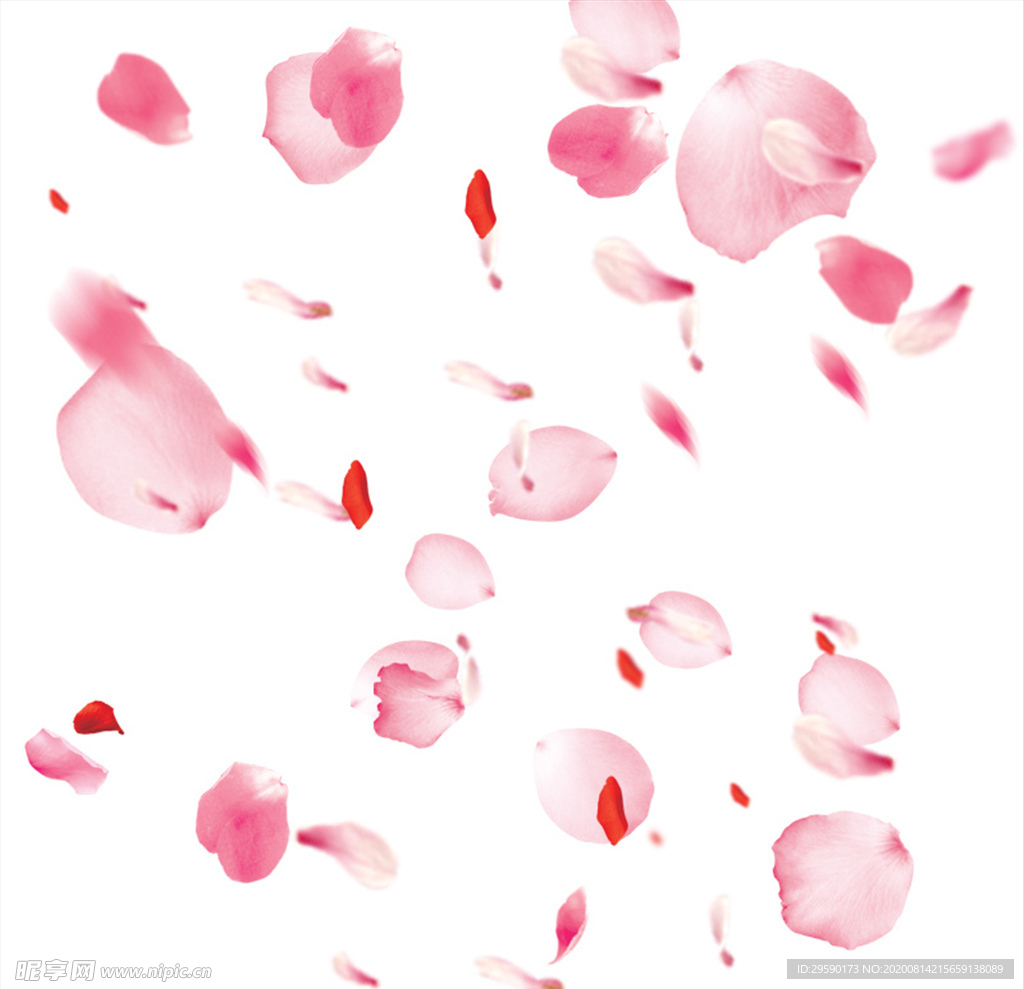 花瓣