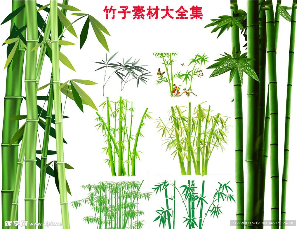 竹子