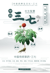 三七中药药材宣传海报素材