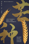 芒种海报