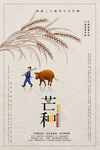 芒种海报