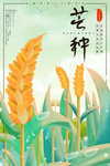 芒种海报