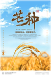 芒种海报