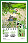 芒种海报