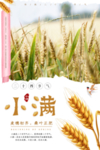小满海报