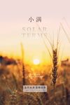 小满节气海报
