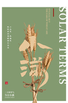 小满节气海报