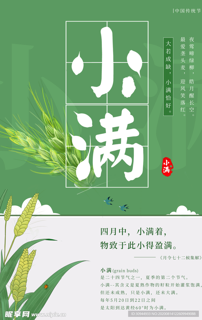 小满节气海报