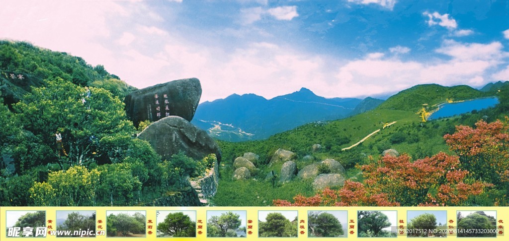 凤凰天池 十大香型