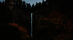 森林山崖瀑布树木风景