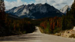 群山森林树木公路风景