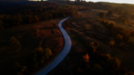 森林树木公路天空风景