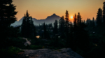 群山森林夕阳树木风景